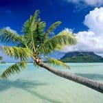 Rituale corpo bora bora