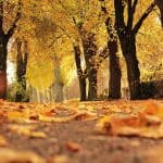 Trattamenti e rituali di autunno